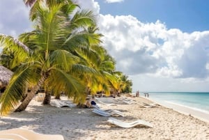 Saona Island All Inclusive Tour