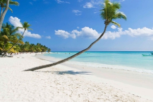 Saona Island All Inclusive Tour