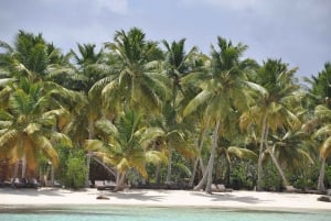 Saona Island und Naturpool Punta Cana