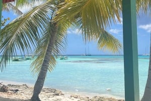 Saona Island: Beach & Natural Pool Small-Group Tour w/ Lunch