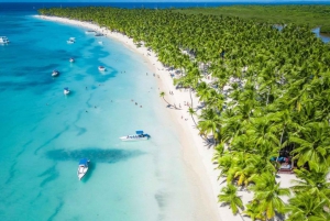 Die Insel Saona: Strände und Naturpool-Kreuzfahrt mit Mittagessen