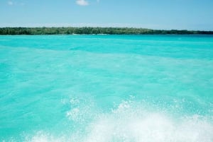 Saona Island: Beaches and Natural Pool Cruise with Lunch