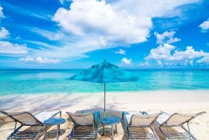 Cruzeiro de catamarã pela Ilha Saona com almoço