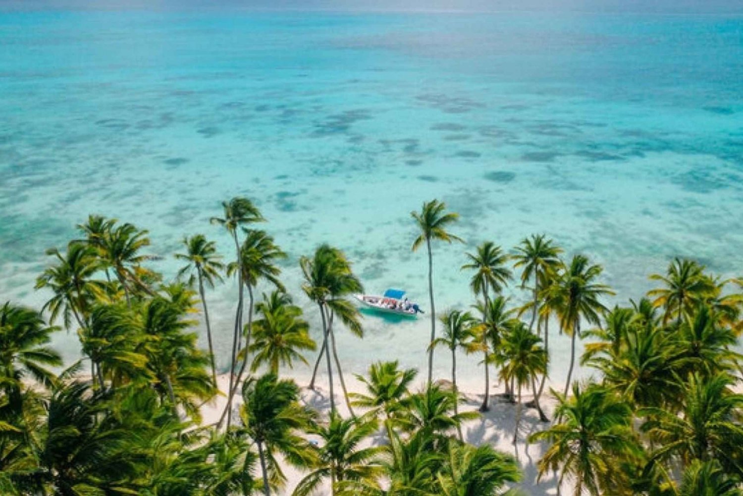 Die Insel Saona: Katamaran-Tour zu einem Traumstrand, alles inklusive