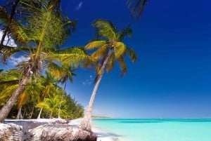 Isola di Saona: Tour in catamarano verso una spiaggia da sogno, tutto incluso