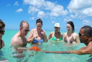 Isola di Saona: Tour in catamarano verso una spiaggia da sogno, tutto incluso