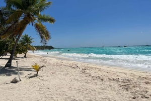 Tour dell'isola di Saona e del fiume Chavon con pranzo e bevande