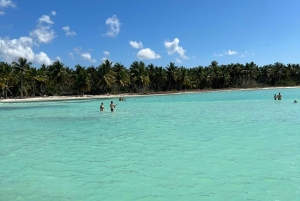 Tour dell'isola di Saona e del fiume Chavon con pranzo e bevande