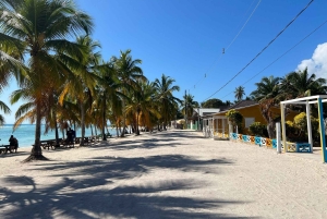 Tour dell'isola di Saona e del fiume Chavon con pranzo e bevande
