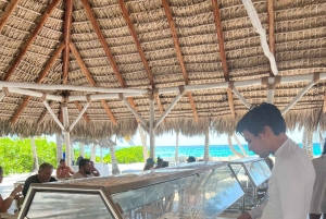 Tour dell'isola di Saona e del fiume Chavon con pranzo e bevande