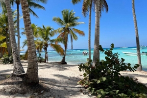 Tour dell'isola di Saona e del fiume Chavon con pranzo e bevande