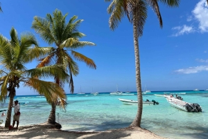 Tour dell'isola di Saona e del fiume Chavon con pranzo e bevande
