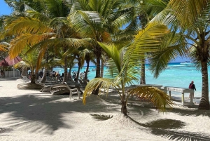 Tour dell'isola di Saona e del fiume Chavon con pranzo e bevande