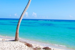 Tour dell'isola di Saona e del fiume Chavon con pranzo e bevande