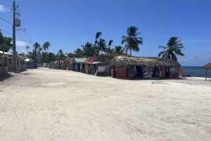 Saona Island Day for Marella Discovery (La Romana Port)
