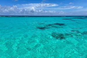 Saona Island Day for Marella Discovery (La Romana Port)