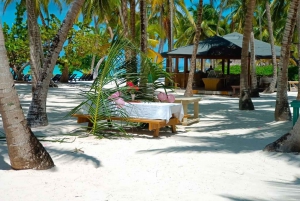 Saona Island Day Trip + Lobsters Included