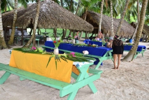 Saona Island Day Trip + Lunch + Open Bar from Punta Cana