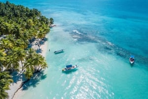 Isla Saona: excursión exclusiva en catamarán en tour en grupo reducido