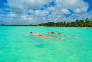 Isla Saona: excursión exclusiva en catamarán en tour en grupo reducido