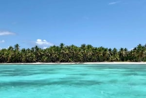 Isla Saona: excursión exclusiva en catamarán en tour en grupo reducido