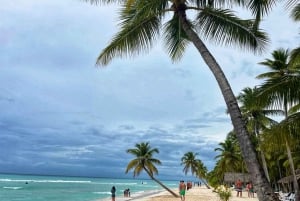 Saona Island: Exclusive Tour with Lunch