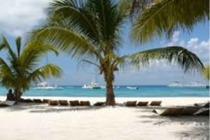Saona Island: Exclusive Tour with Lunch