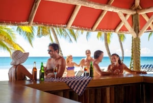 Excursion sur l'île de Saona depuis Punta Cana