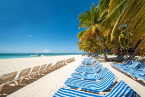 Excursion sur l'île de Saona depuis Punta Cana