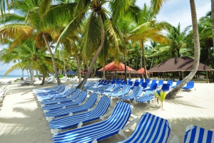 Excursion sur l'île de Saona depuis Punta Cana