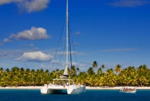 Punta Cana: Saona Islan Full Day With Catamaran and buffet