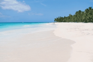 Punta Cana: Tour di un giorno intero in catamarano dell'isola di Saona