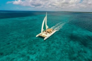 Saona Island: Full-Day Boat Tour with Buffet Lunch & Drinks