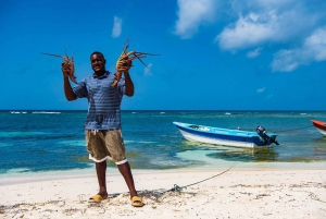 Saona Island - ¡Fuld dag med åben bar, frokost og rundtur!