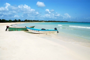 Saona Island - ¡Fuld dag med åben bar, frokost og rundtur!