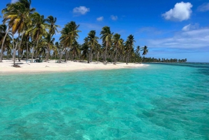 Saona Island - ¡Heldag med öppen bar, lunch och tur- och returresa!