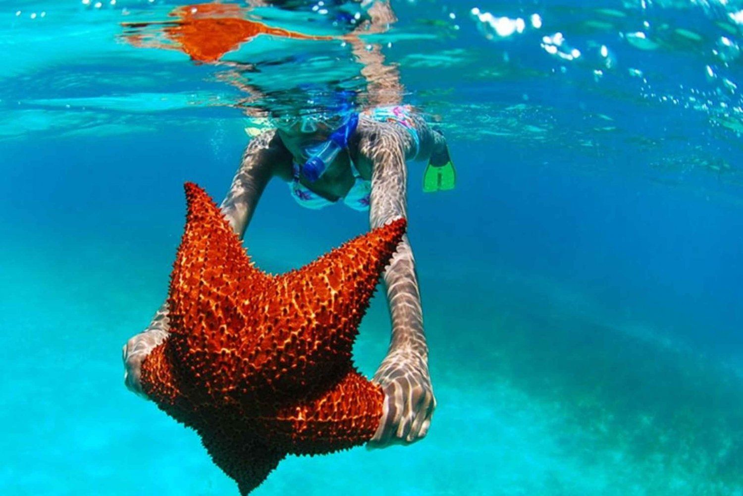 Tour dell'isola di Saona di un giorno intero - Festa in catamarano e pranzo al barbecue