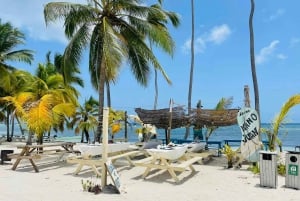 Visite d'une jounée de l'île de Saona - Fête en catamaran et déjeuner barbecue