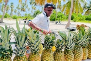 Excursão de 1 dia à ilha de Saona - Festa no catamarã e almoço com churrasco