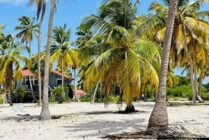 Visite d'une jounée de l'île de Saona - Fête en catamaran et déjeuner barbecue