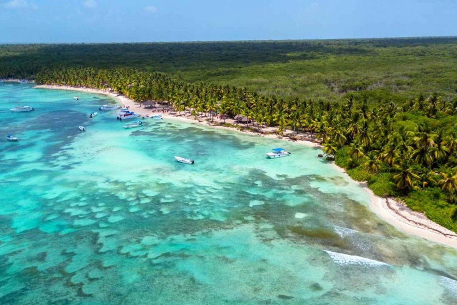 Saona Island full day tour from Samana