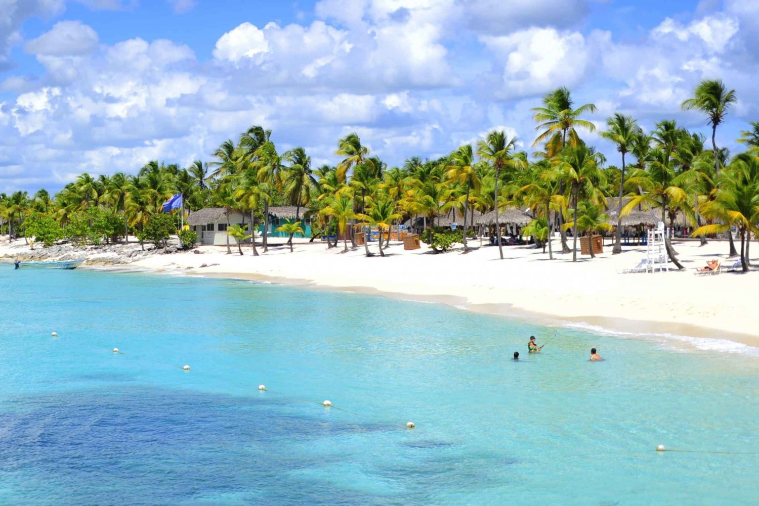 Saona Island Full-Day Tour with Lunch from Punta Cana