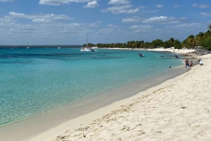 Ganztagestour zur Insel Saona mit Mittagessen ab Punta Cana