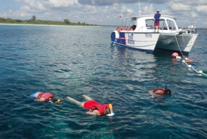 Saona Island Dagsutflykt med lunch från Punta Cana