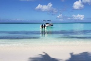 Saona Island Dagsutflykt med lunch från Punta Cana