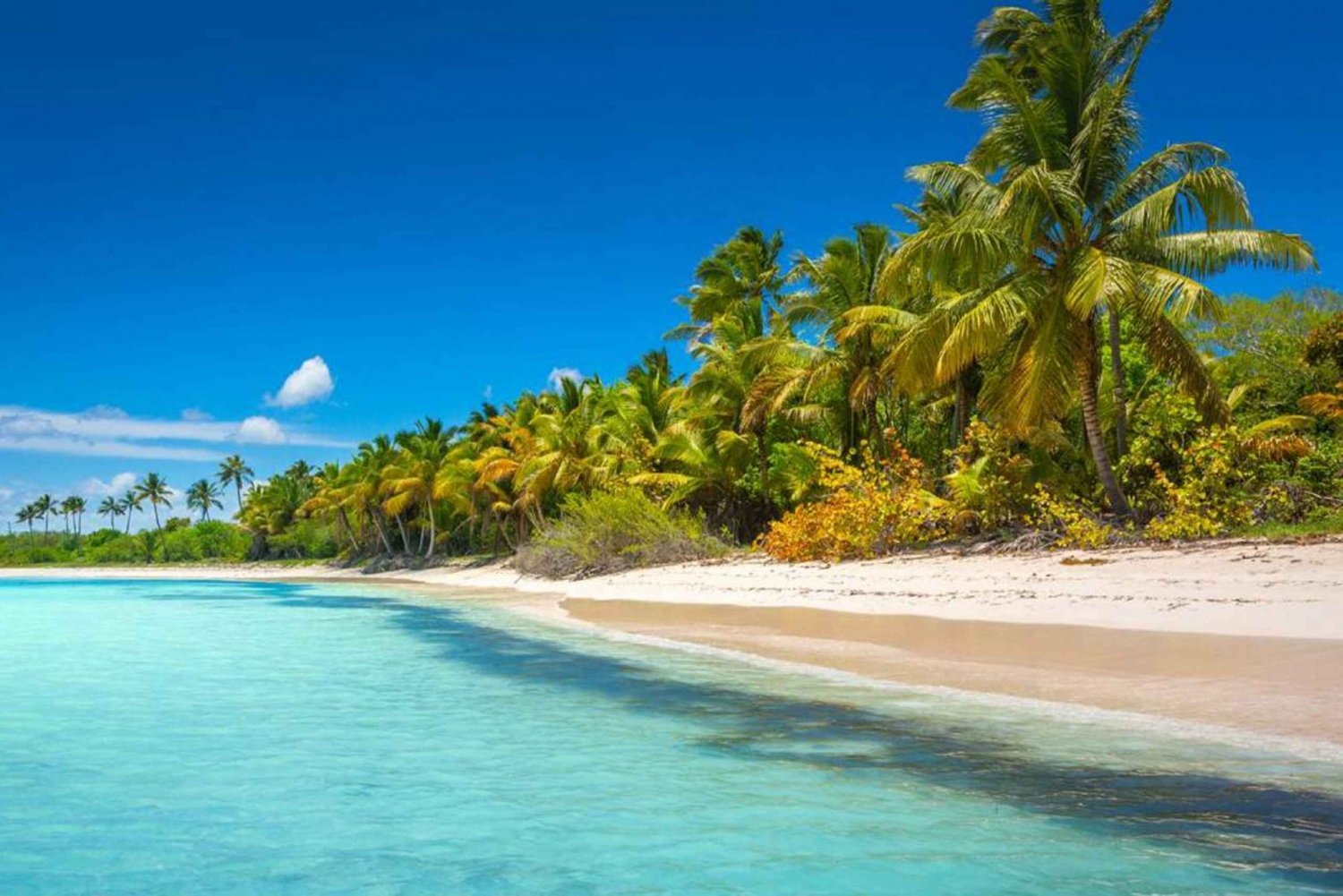 Île de Saona : Visite d'une jounée en bateau rapide et en catamaran