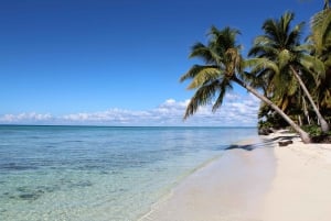 Isola di Saona: Tour di un giorno intero con motoscafo e catamarano