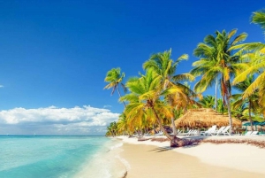 Saona Island Full-Day with Pickup in your Hotel Punta Cana