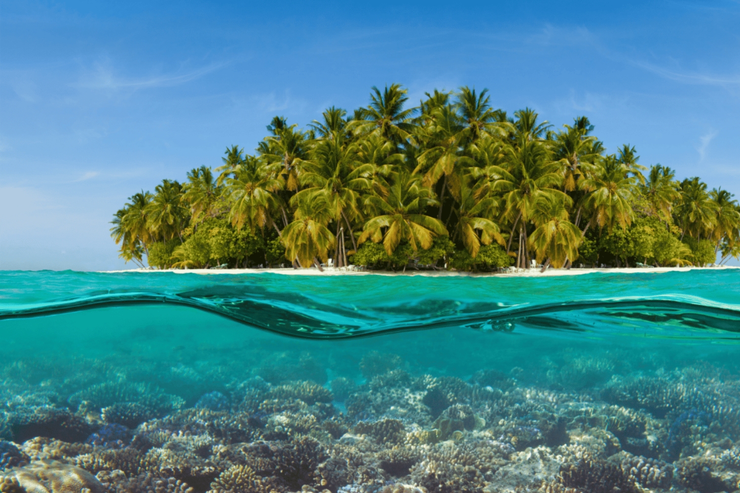 Saona Island: Hidden Beach & Natural Pool