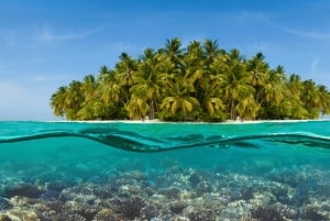 Saona Island: Hidden Beach & Natural Pool